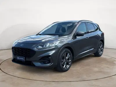 Ford Kuga 1.5 EcoBlue 120 CV 2WD ST-Line del 2020 usata a Terni