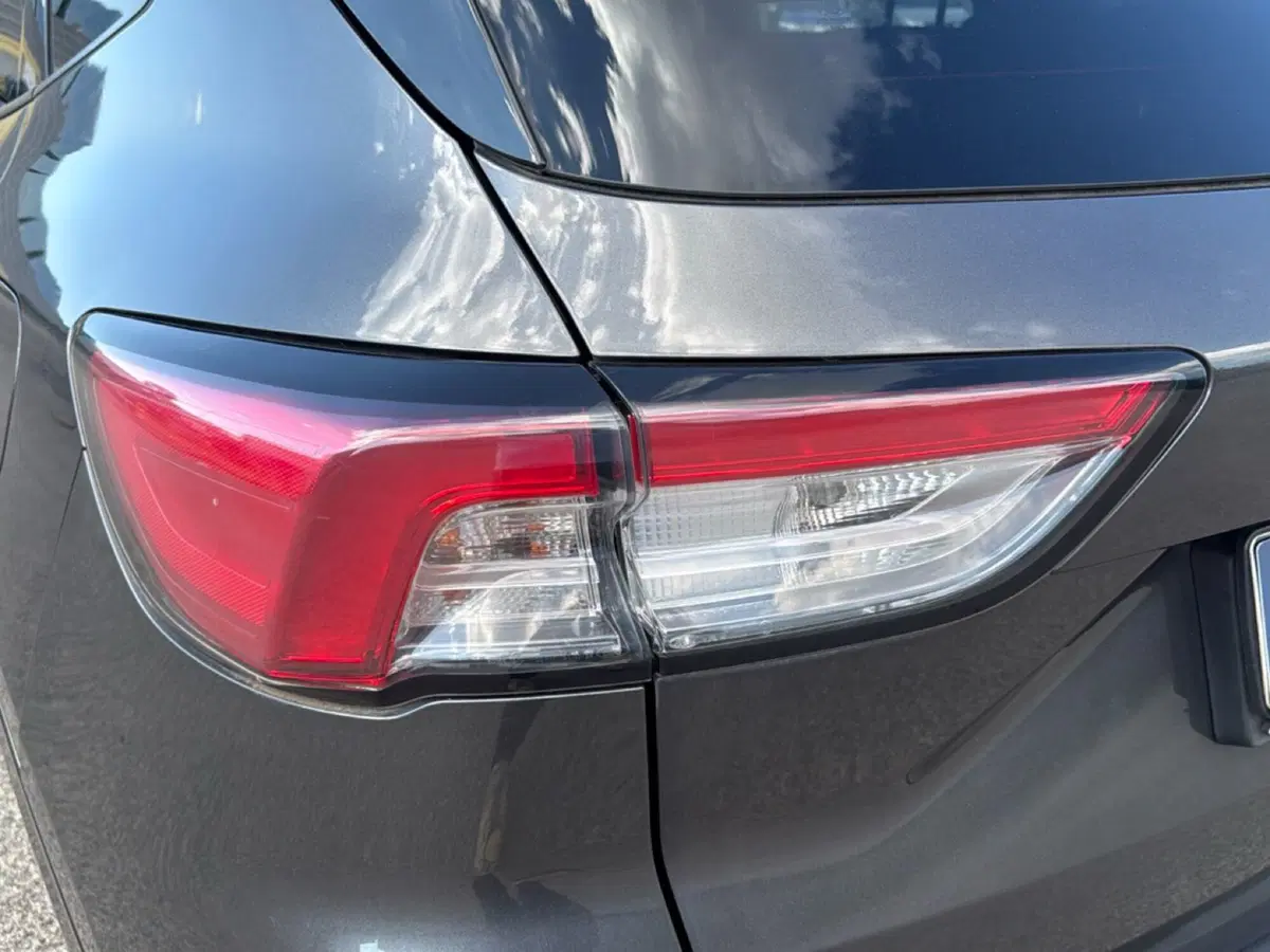 Ford Kuga usata a Terni (8)