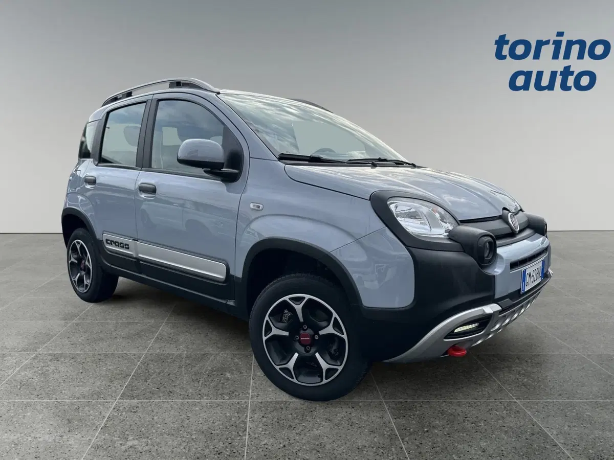 Fiat Panda usata a Torino