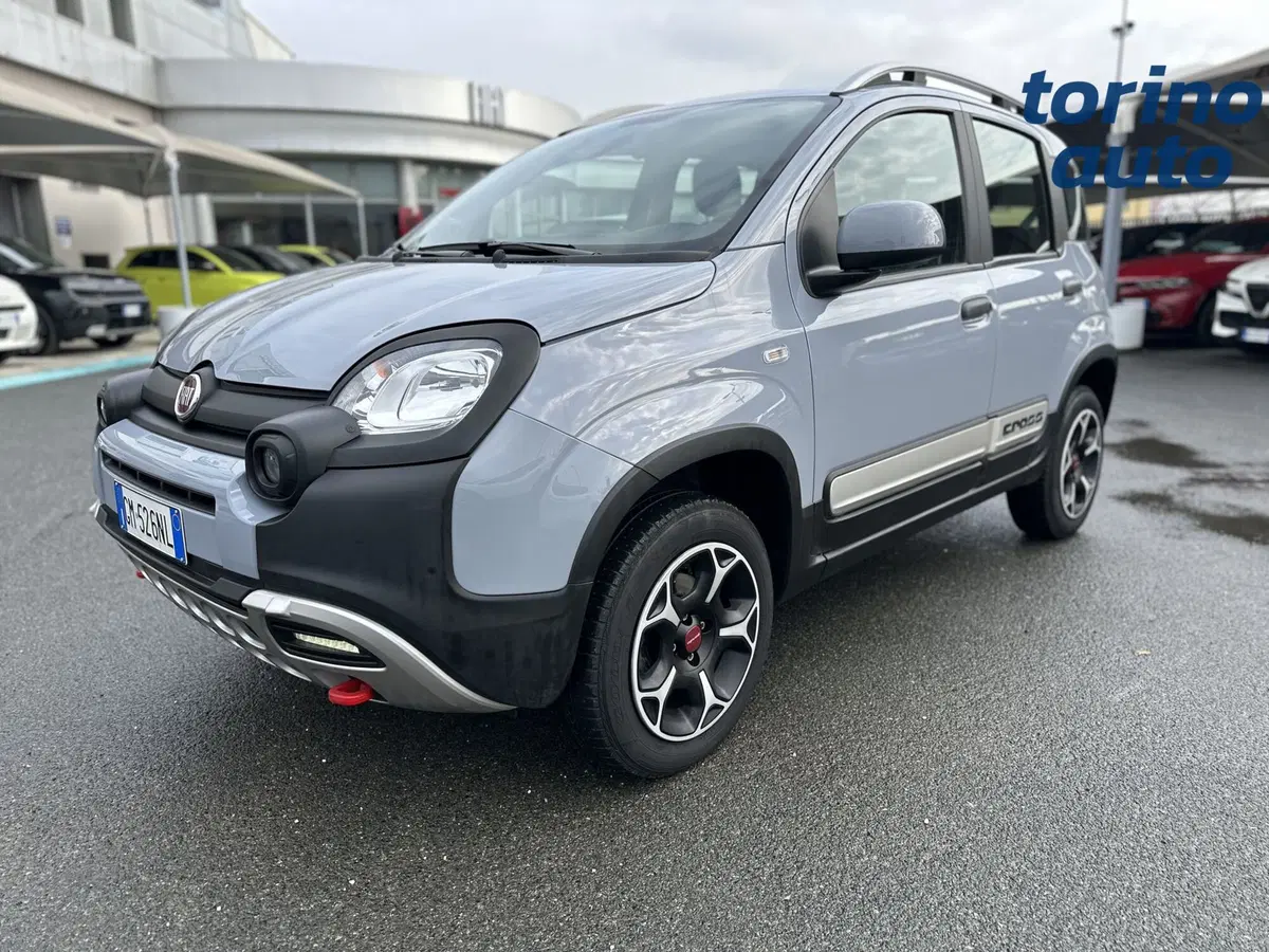 Fiat Panda usata a Torino (3)