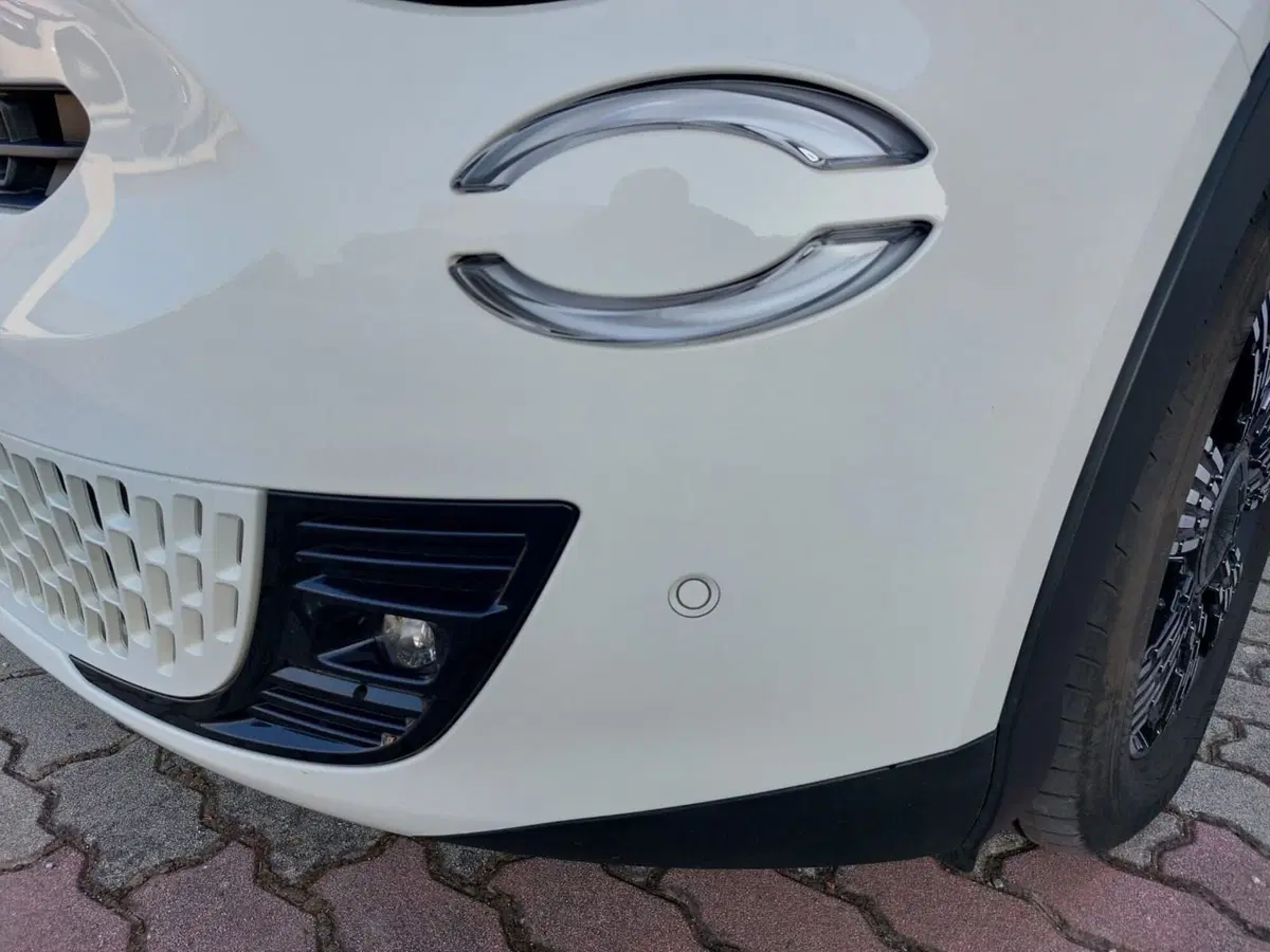 Fiat 600 usata a Pavia (13)