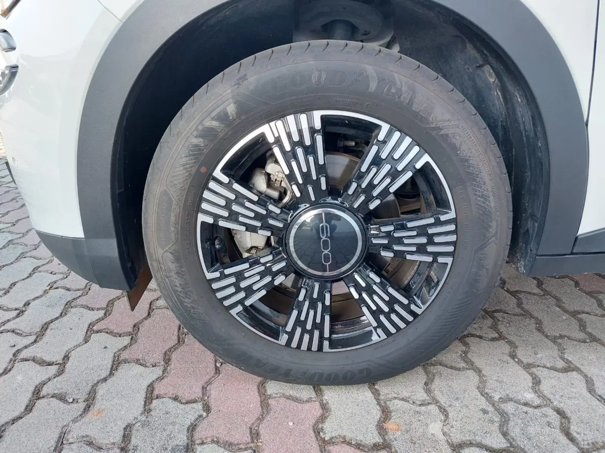 Fiat 600 usata a Pavia (14)