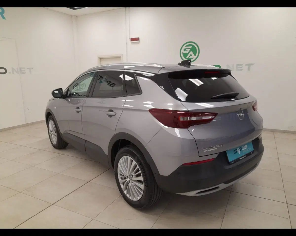 Opel Grandland X usata a Alessandria (3)