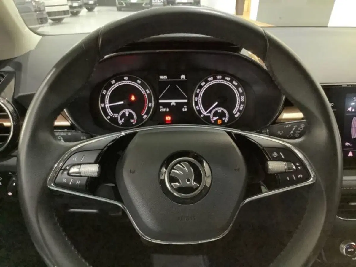 Skoda Fabia usata a Catania (18)