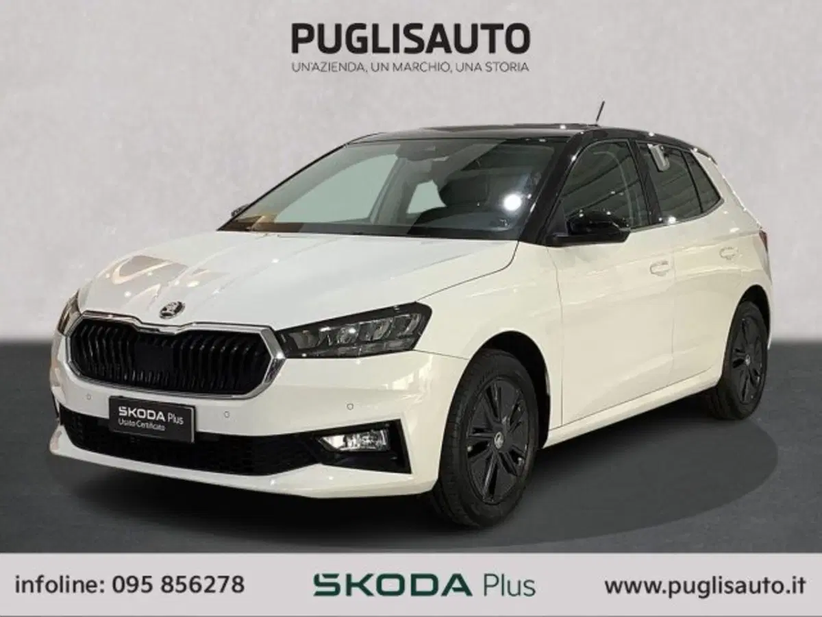 Skoda Fabia usata a Catania (3)