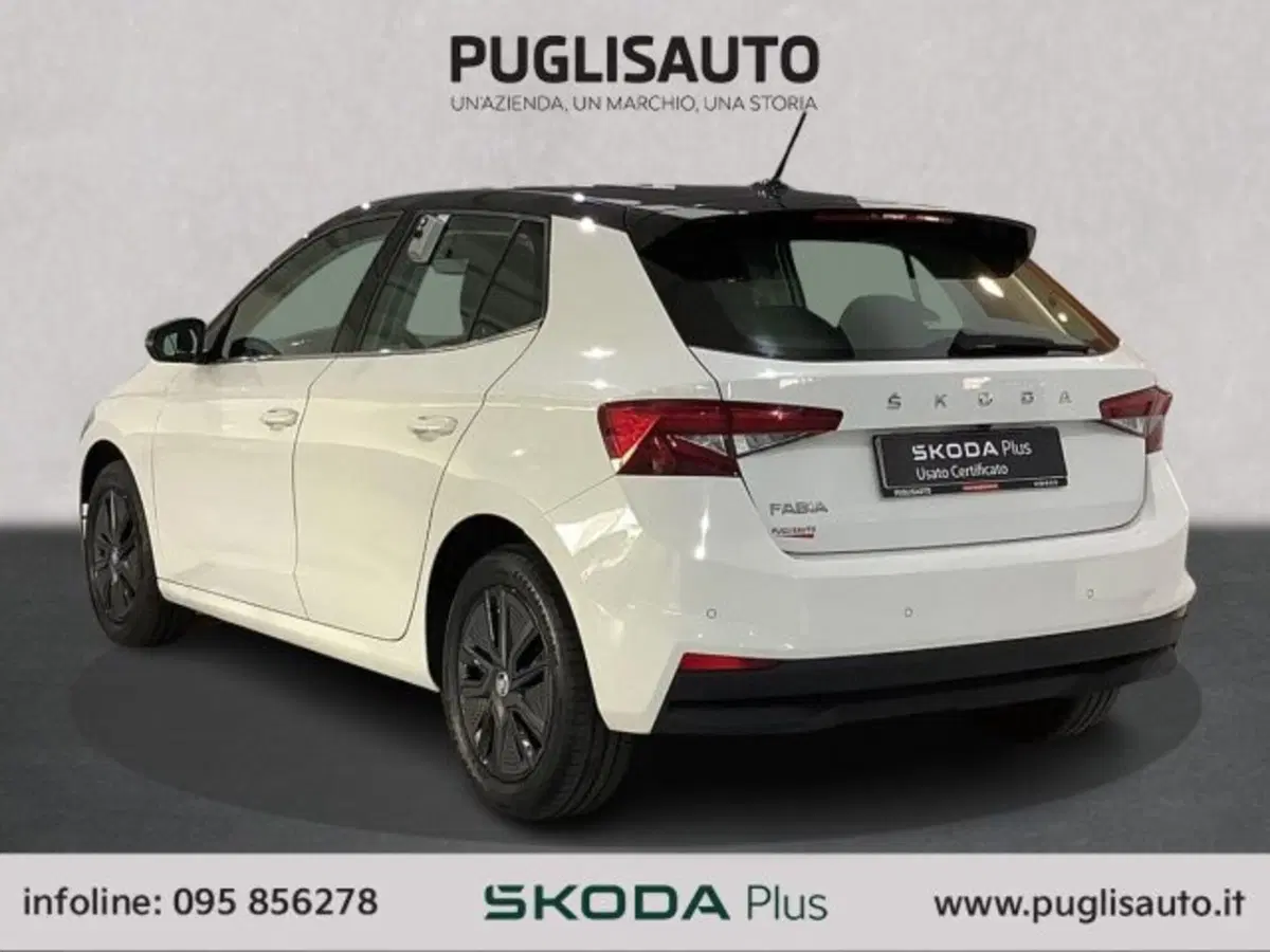 Skoda Fabia usata a Catania (6)