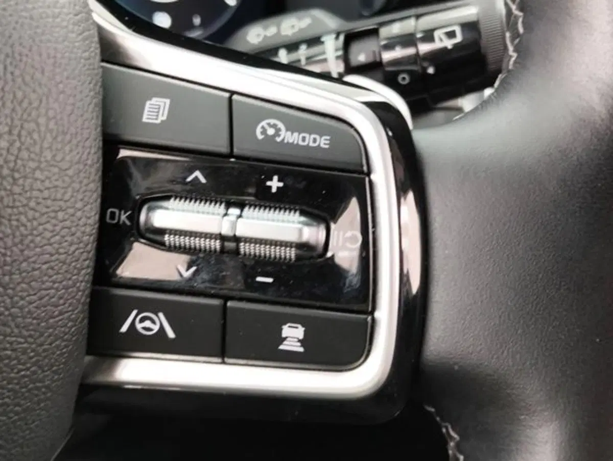 Kia Sorento usata a Como (11)