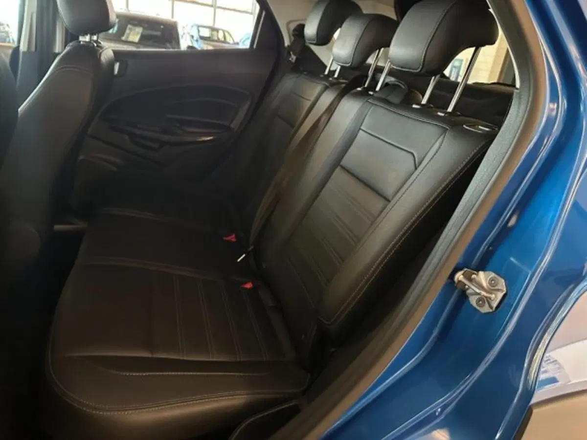 Ford EcoSport usata a Cuneo (12)