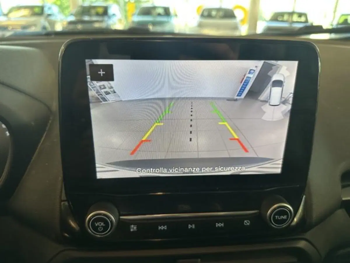 Ford EcoSport usata a Cuneo (14)