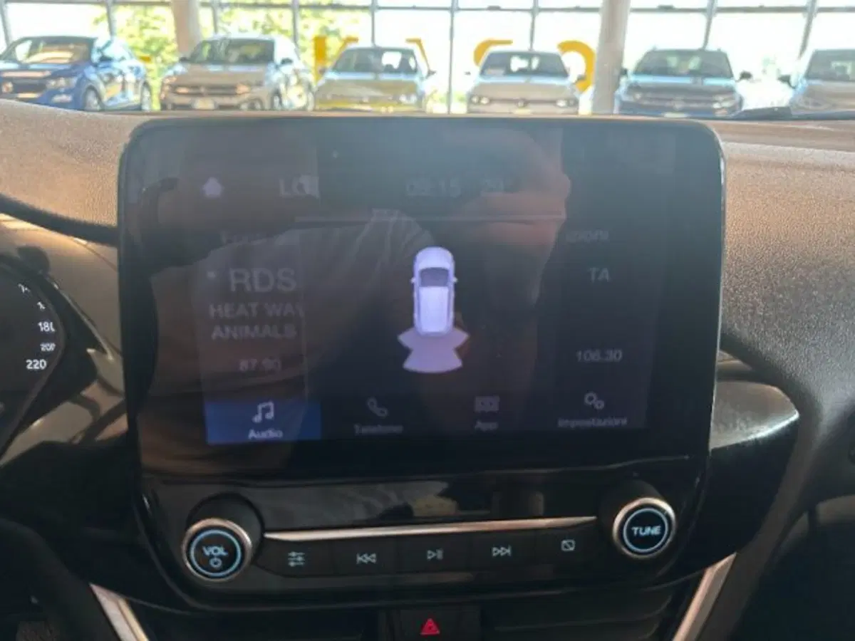 Ford Fiesta usata a Cuneo (14)