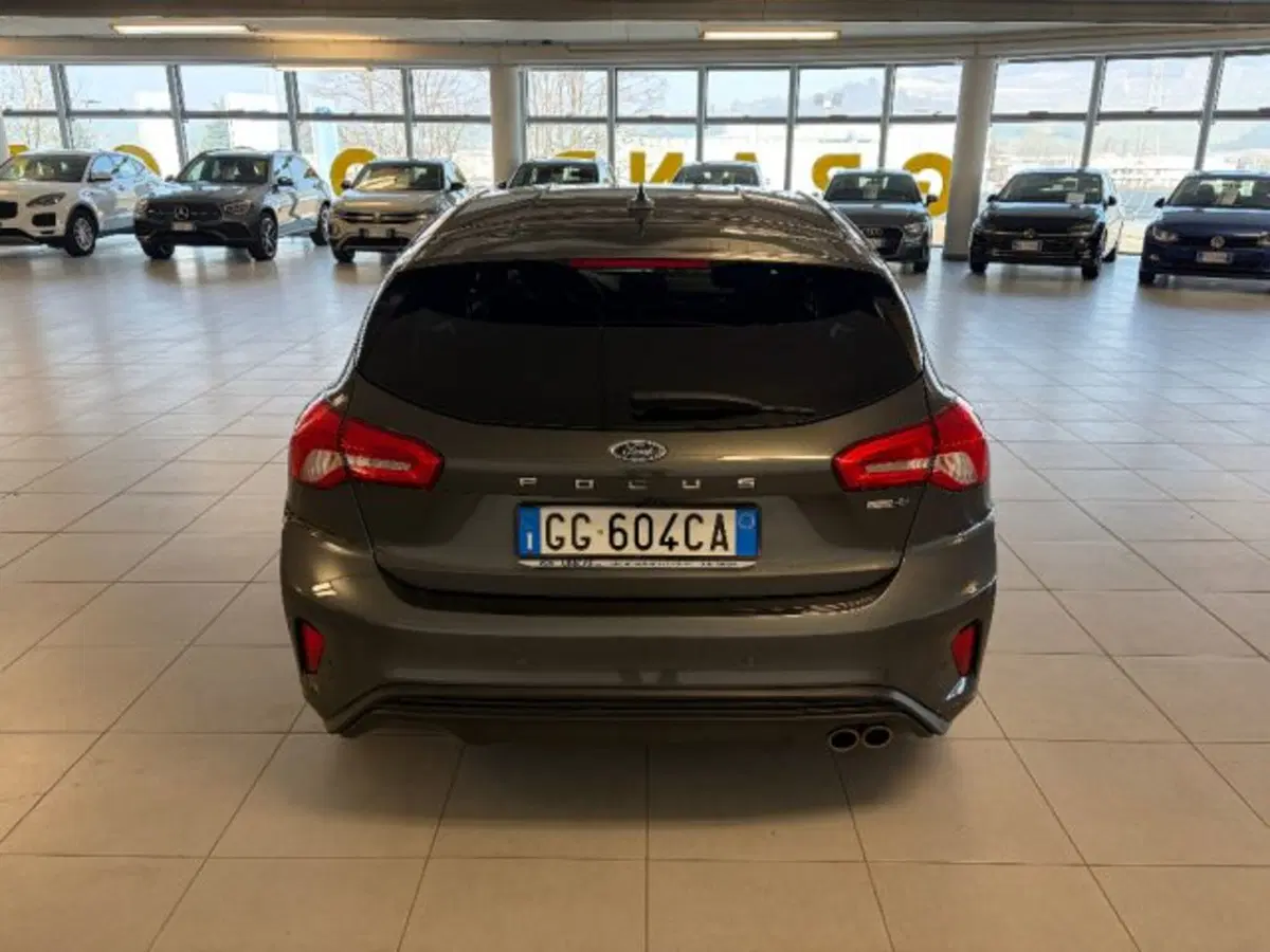 Ford Focus usata a Cuneo (5)