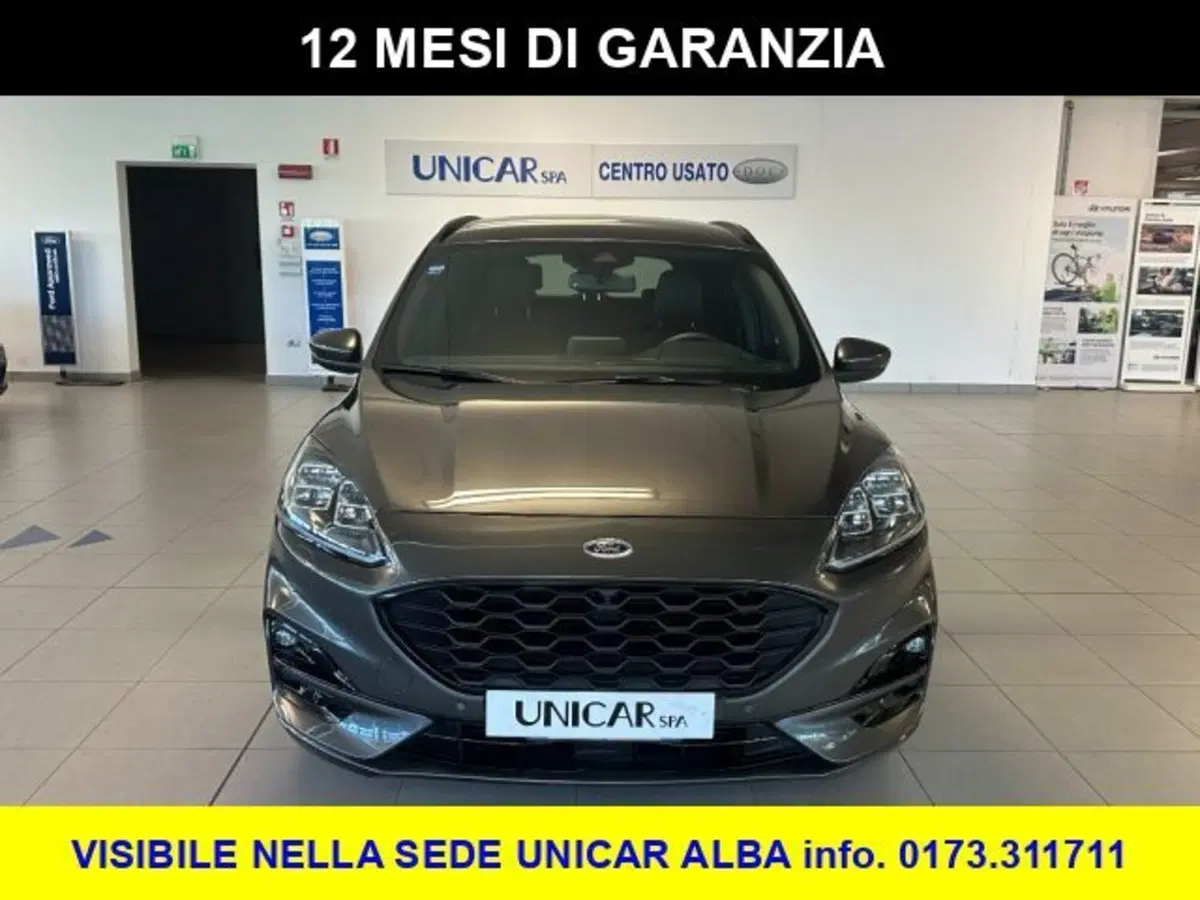 Ford Kuga usata a Cuneo (2)