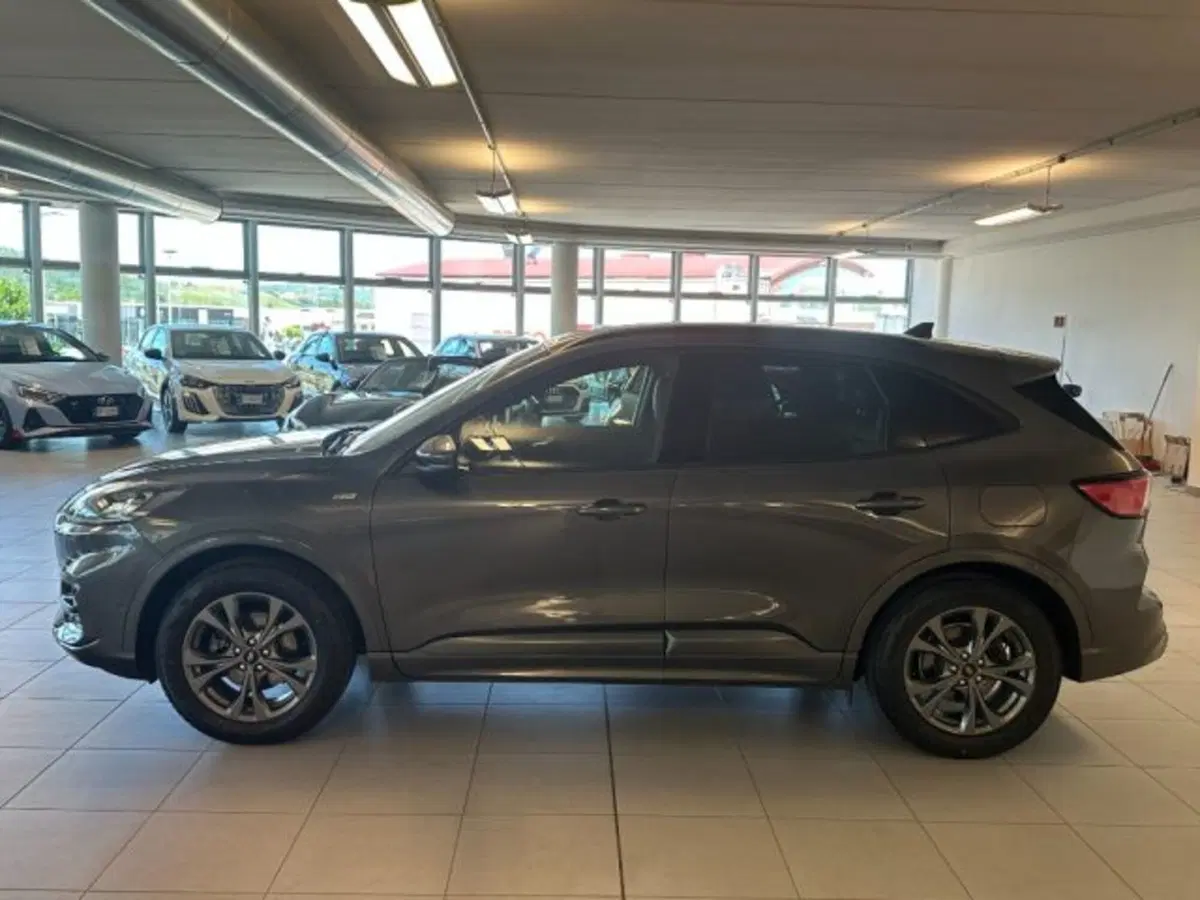 Ford Kuga usata a Cuneo (4)