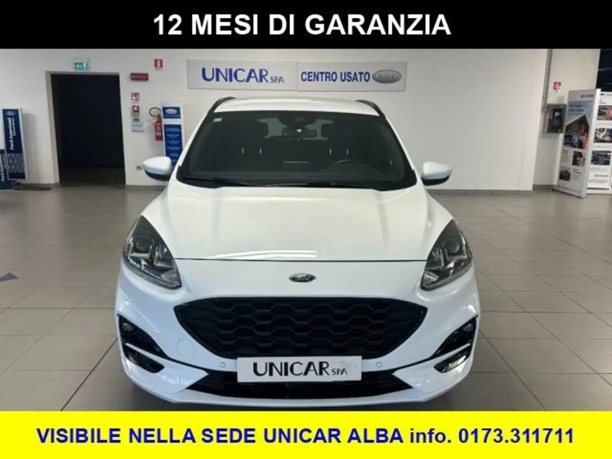 Ford Kuga usata a Cuneo (2)