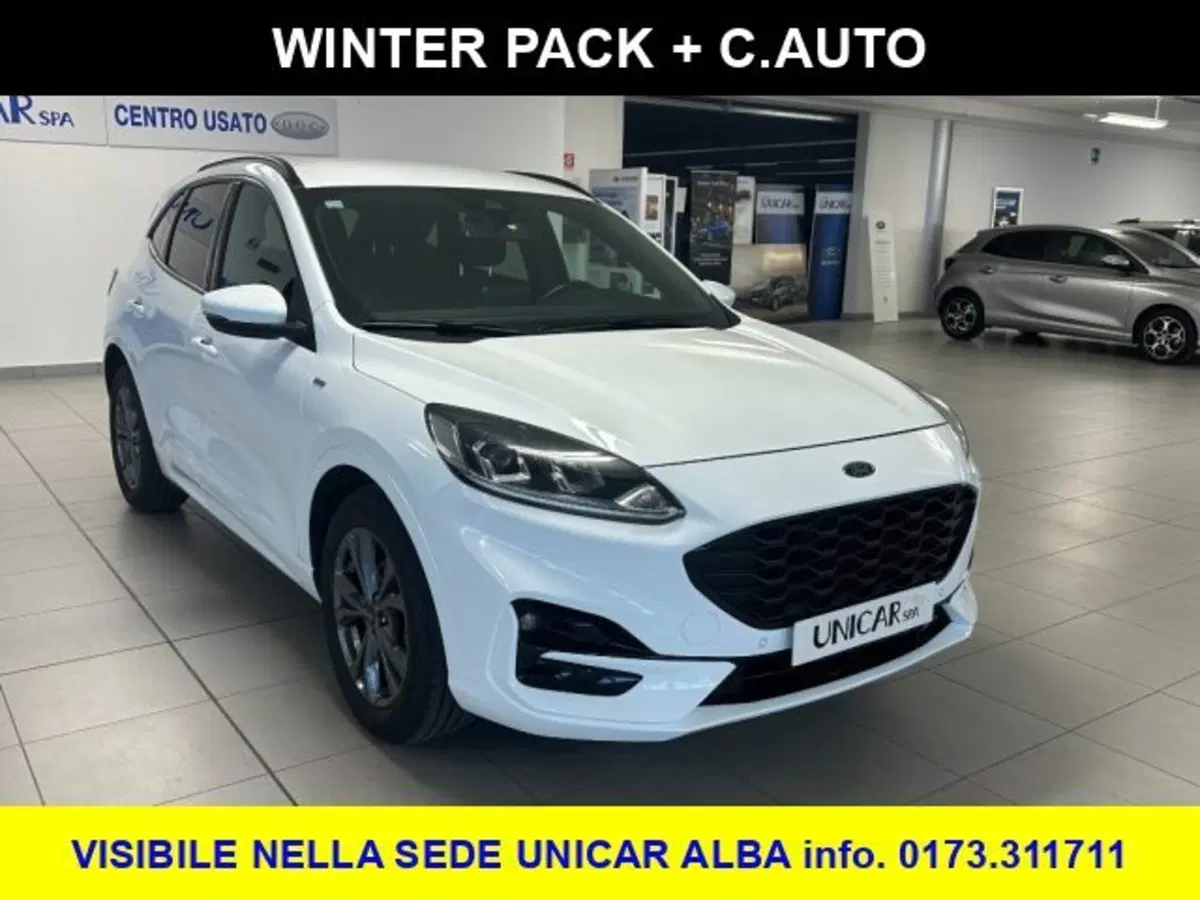 Ford Kuga usata a Cuneo (3)