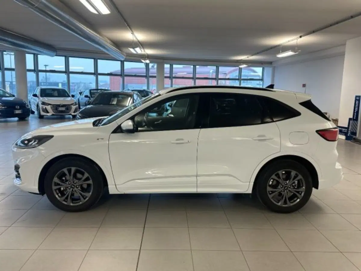 Ford Kuga usata a Cuneo (4)