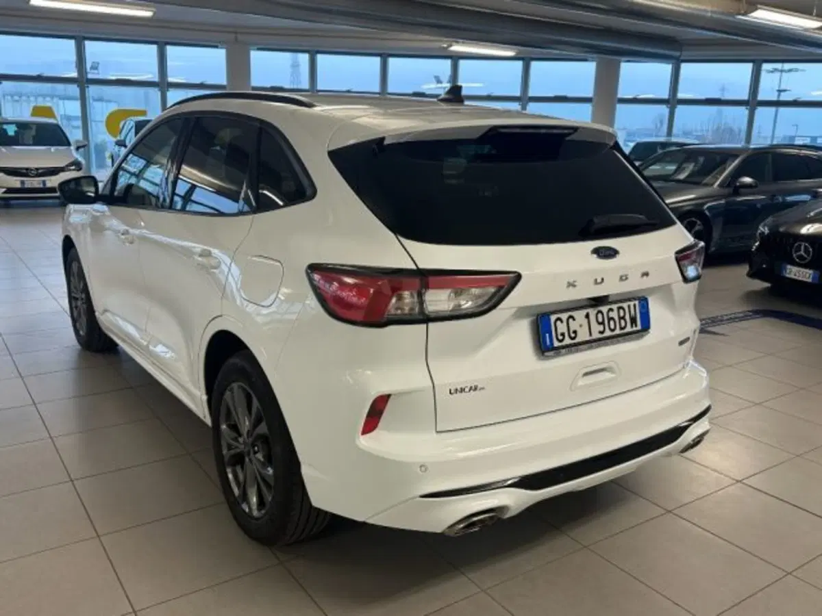Ford Kuga usata a Cuneo (5)