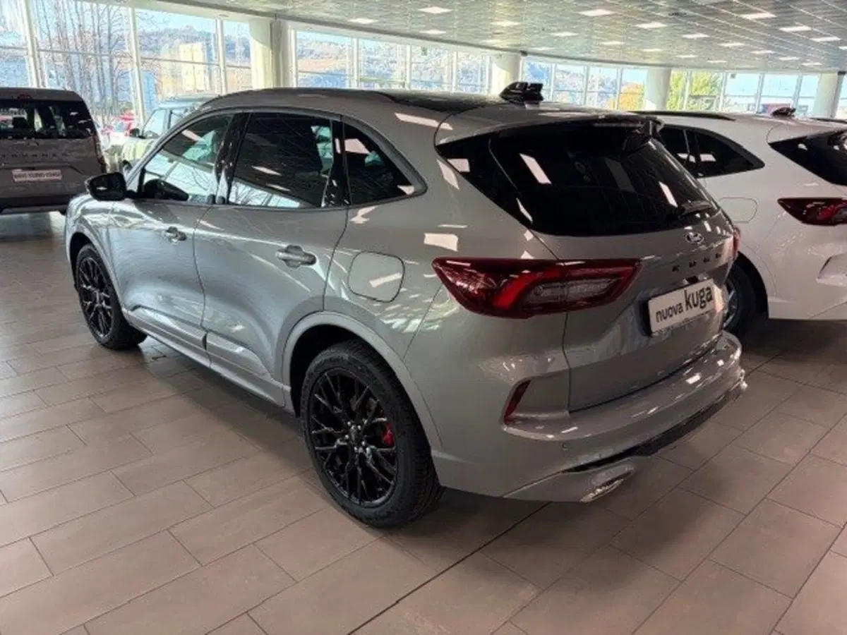 Ford Kuga nuova a Cuneo (6)