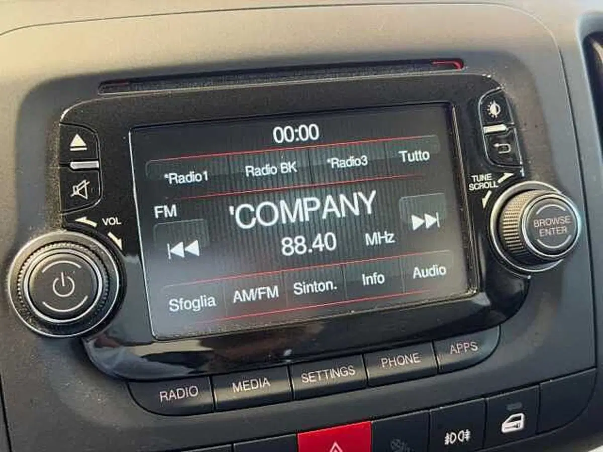 Fiat 500L usata a Venezia (15)
