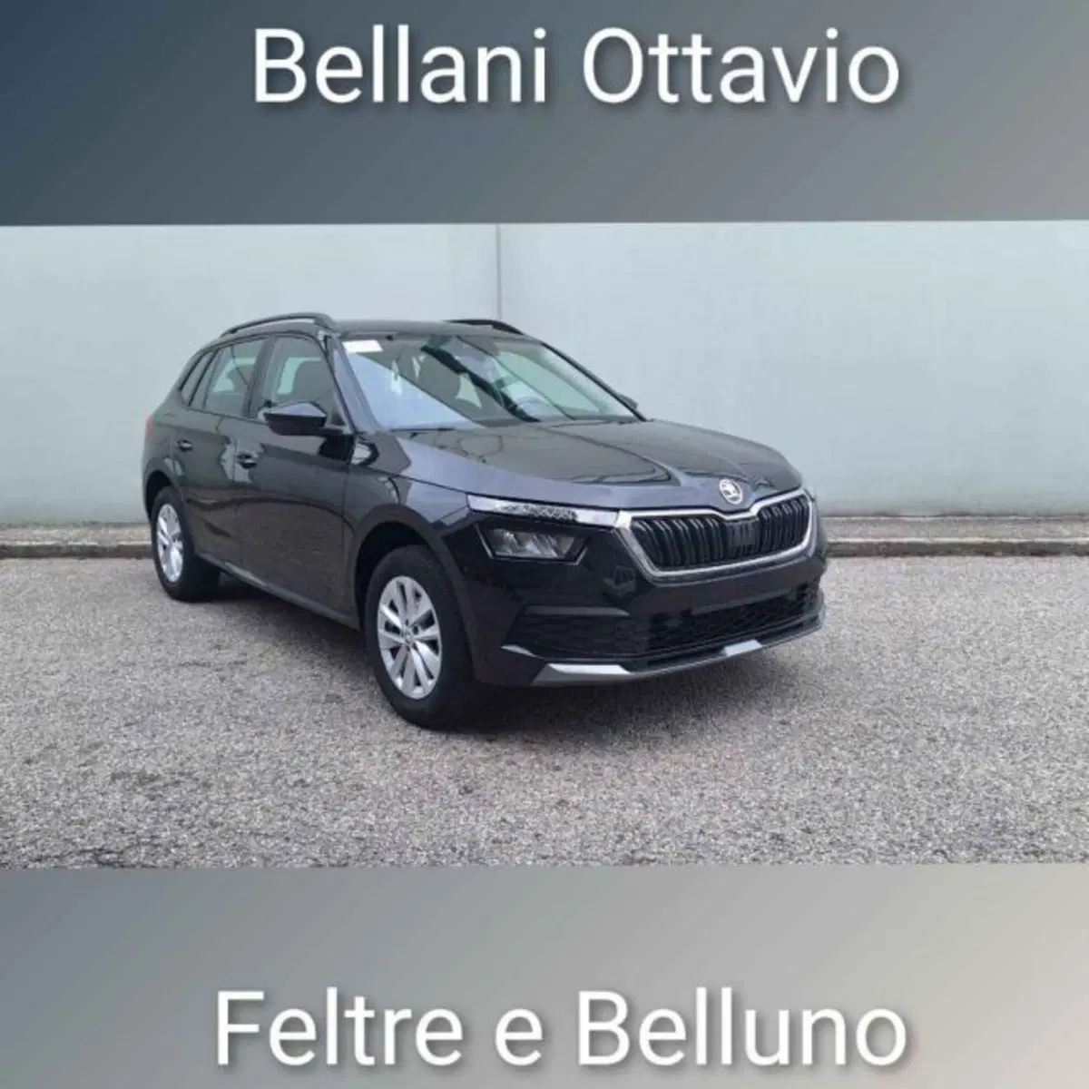 Skoda Kamiq usata a Belluno