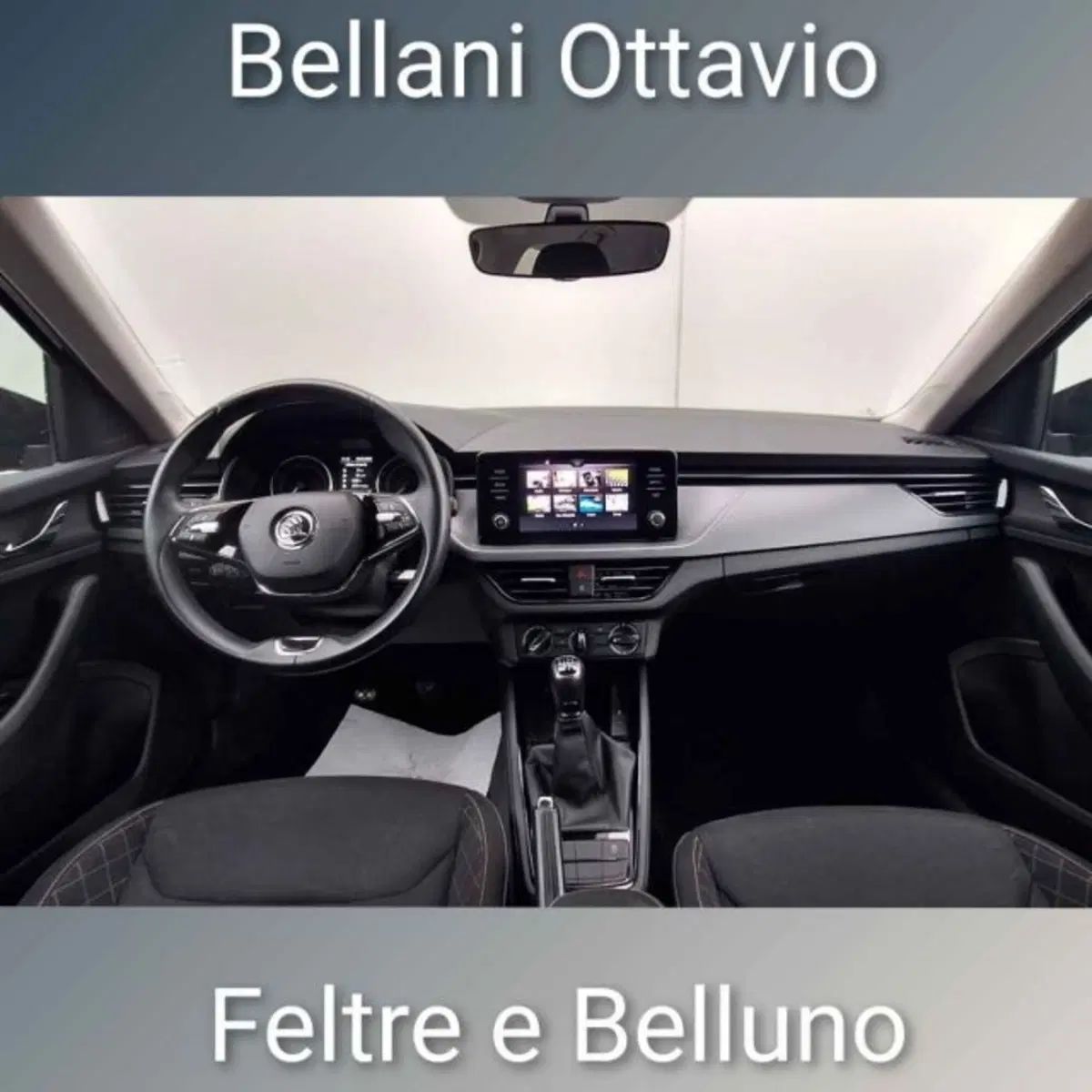 Skoda Kamiq usata a Belluno (10)