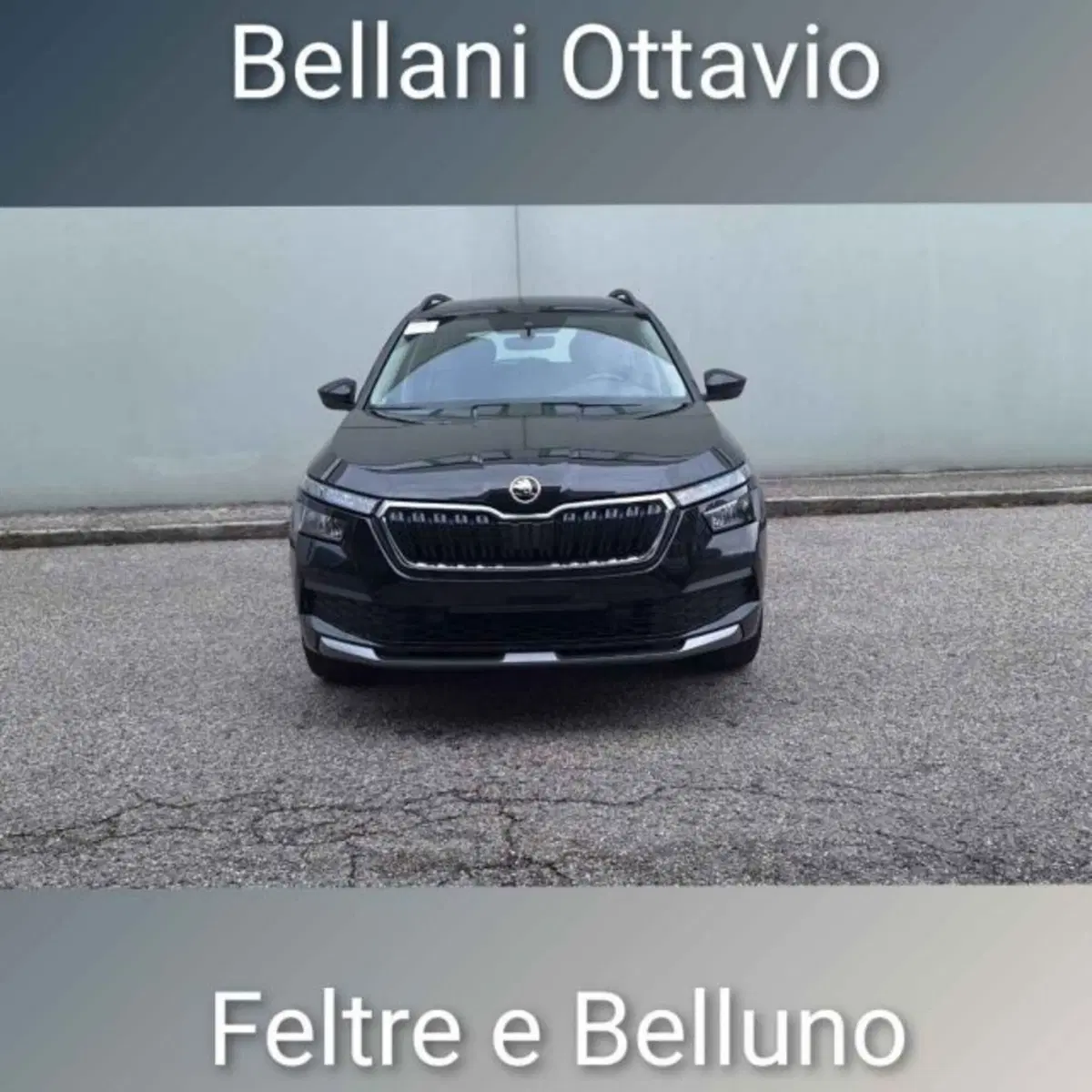Skoda Kamiq usata a Belluno (2)