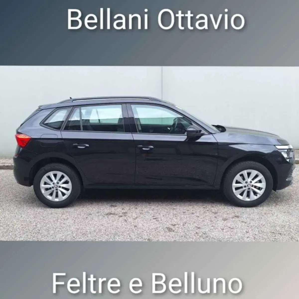 Skoda Kamiq usata a Belluno (3)