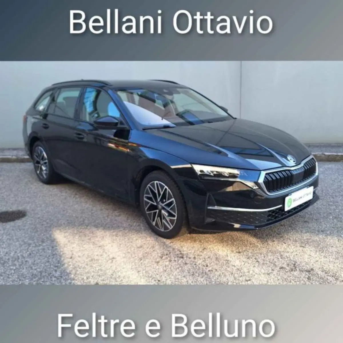 Skoda Octavia Station Wagon usata a Belluno