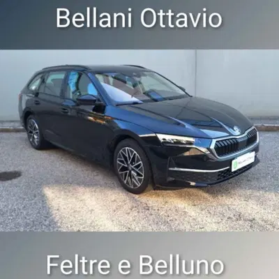 Skoda Octavia Station Wagon 2.0 TDI EVO SCR 150 CV DSG 4x4 Wagon Executive del 2025 usata a Feltre