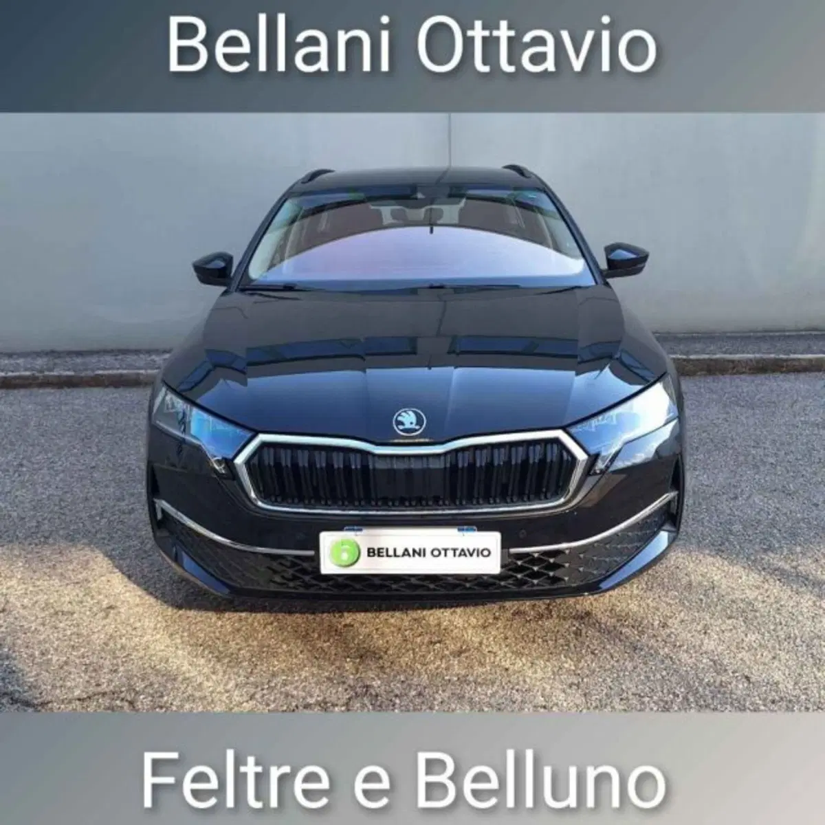 Skoda Octavia Station Wagon usata a Belluno (2)