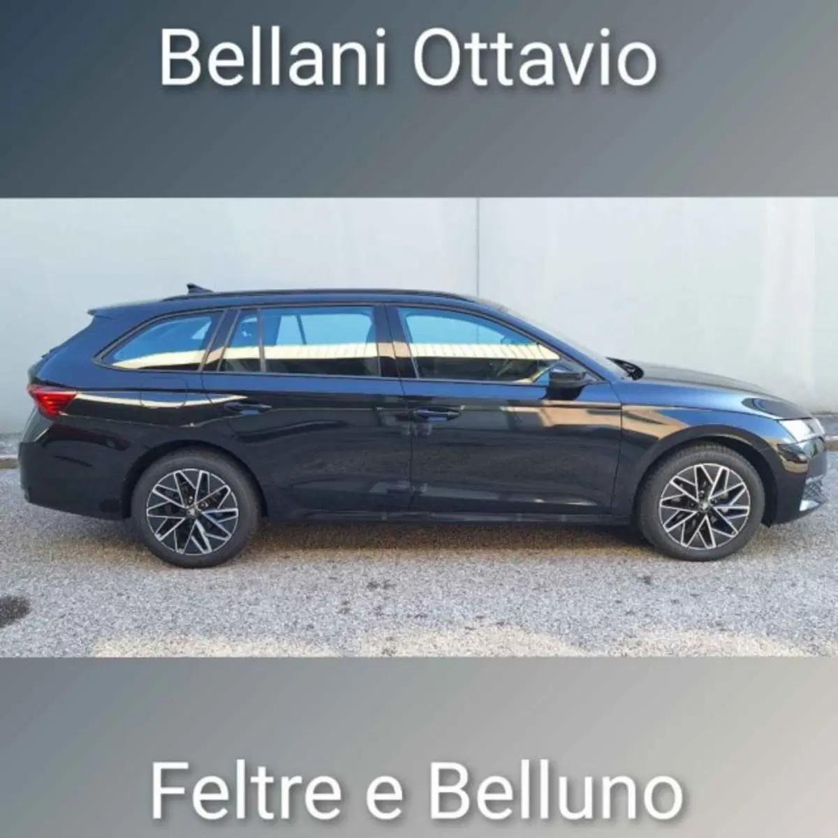 Skoda Octavia Station Wagon usata a Belluno (3)