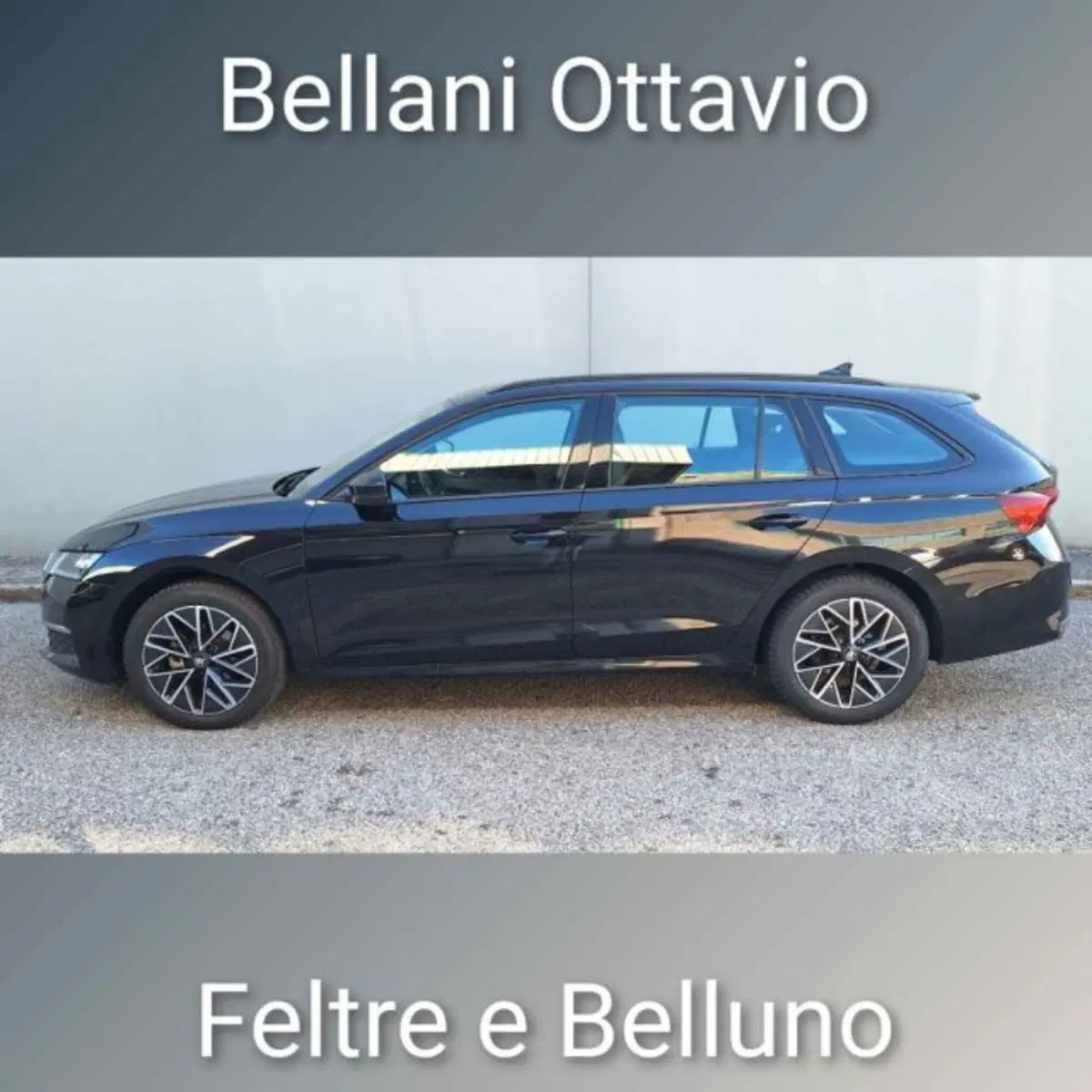 Skoda Octavia Station Wagon usata a Belluno (4)
