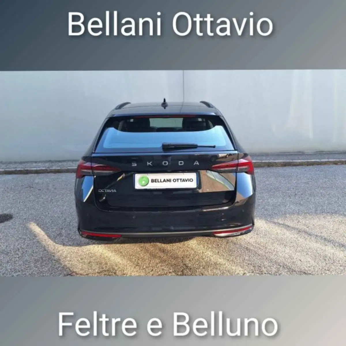 Skoda Octavia Station Wagon usata a Belluno (5)