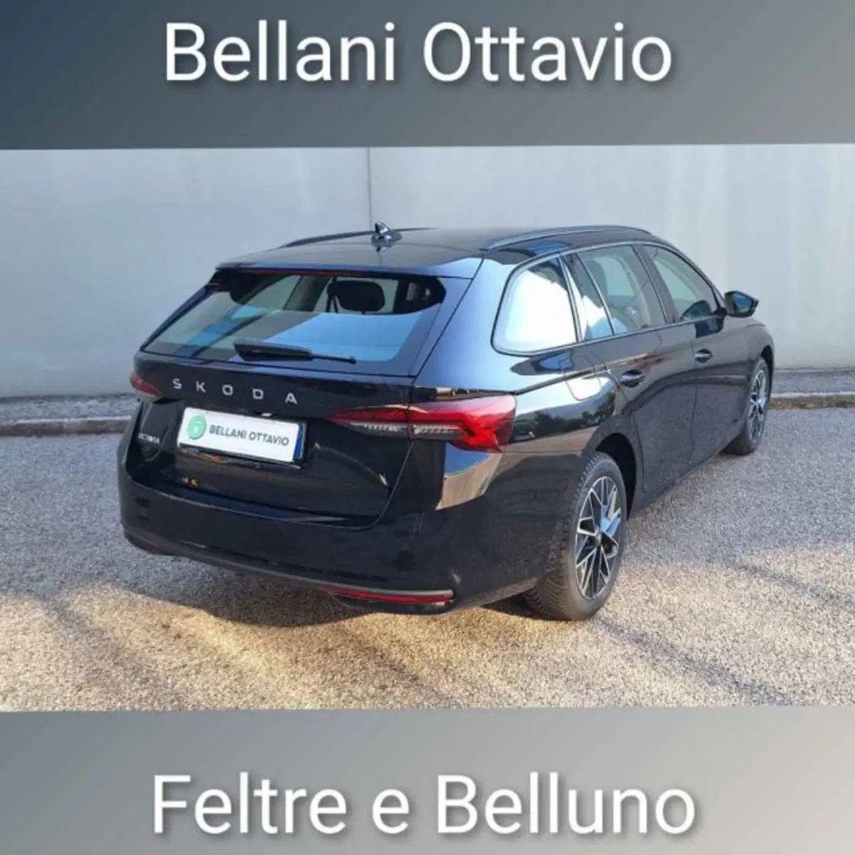 Skoda Octavia Station Wagon usata a Belluno (6)