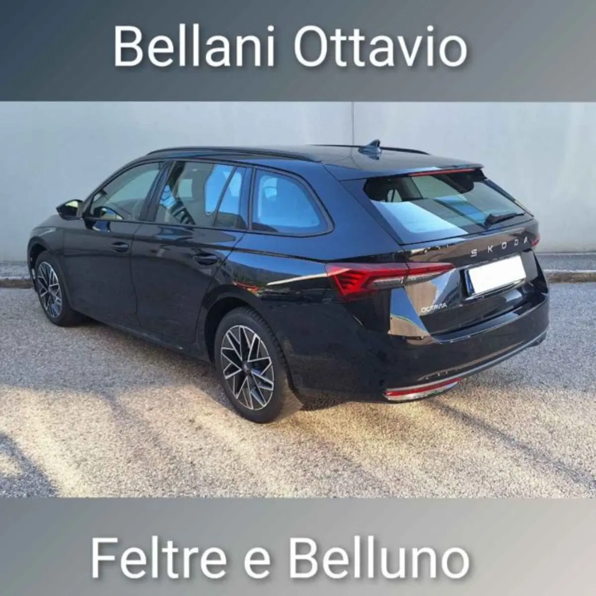 Skoda Octavia Station Wagon usata a Belluno (7)