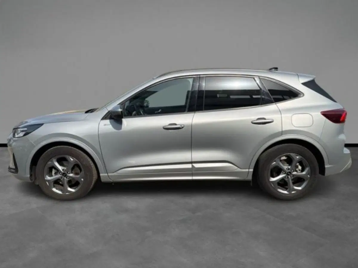 Ford Kuga usata a Lecce (2)