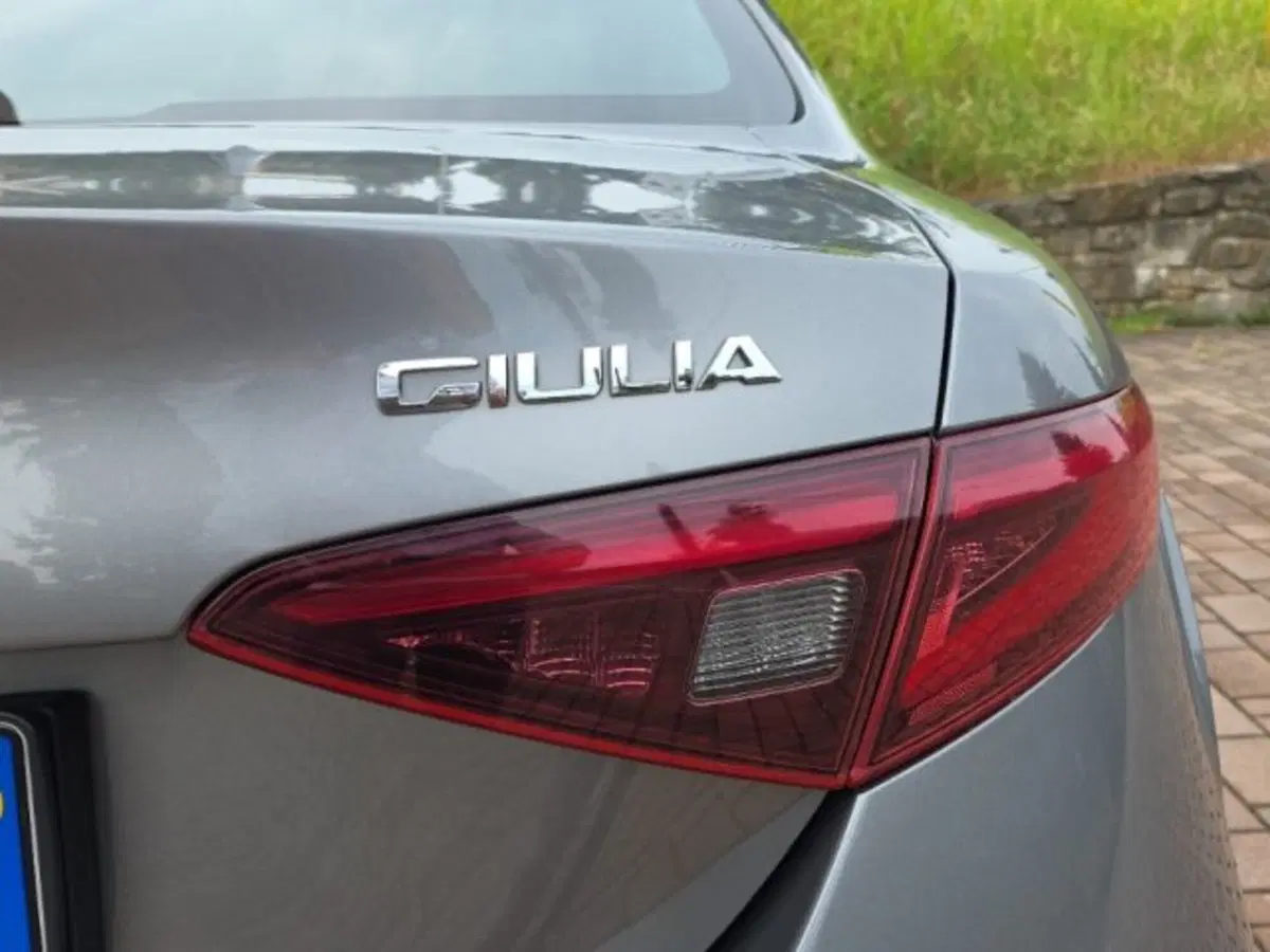 Alfa Romeo Giulia usata a Monza e Brianza (15)