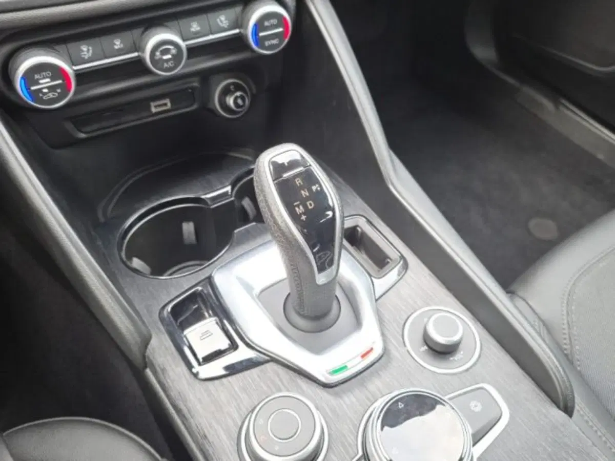 Alfa Romeo Giulia usata a Monza e Brianza (18)