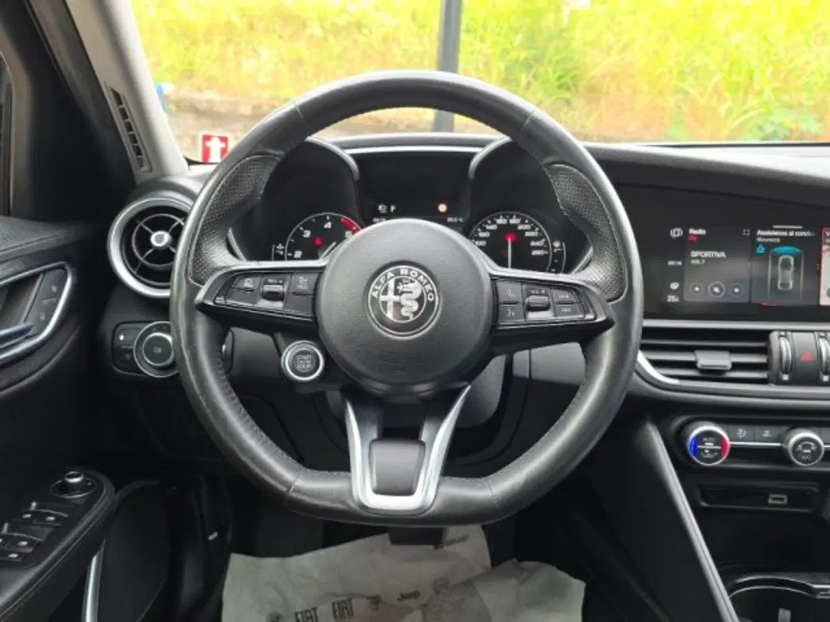 Alfa Romeo Giulia usata a Monza e Brianza (9)