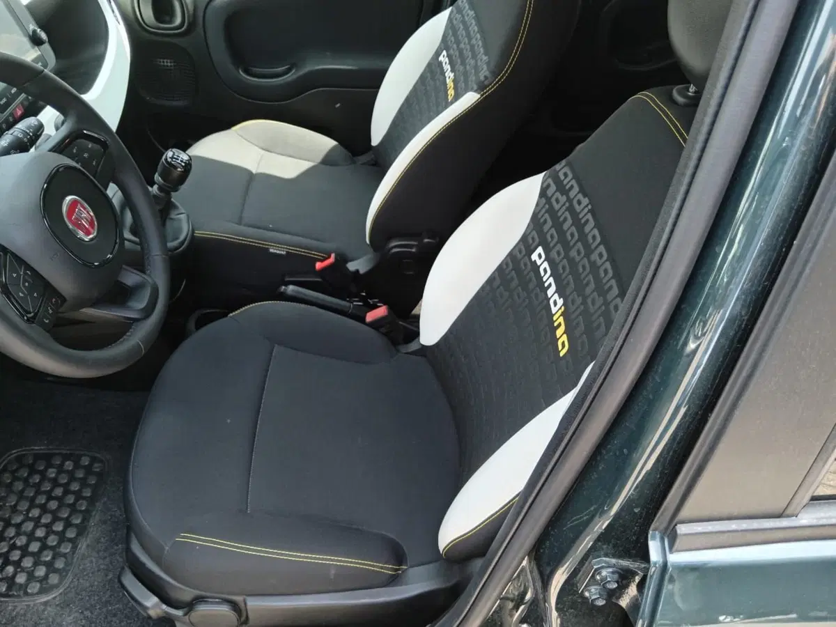 Fiat Panda Cross usata a Alessandria (11)
