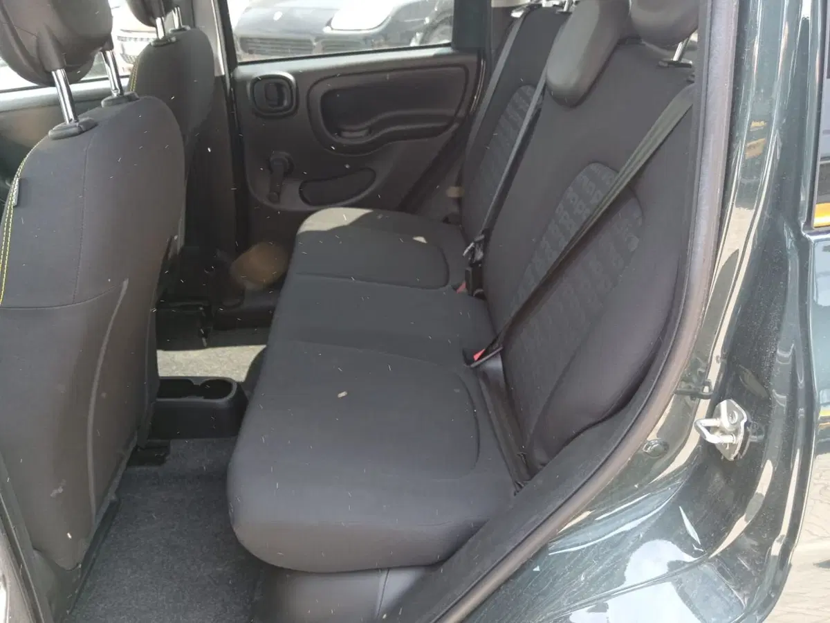 Fiat Panda Cross usata a Alessandria (12)