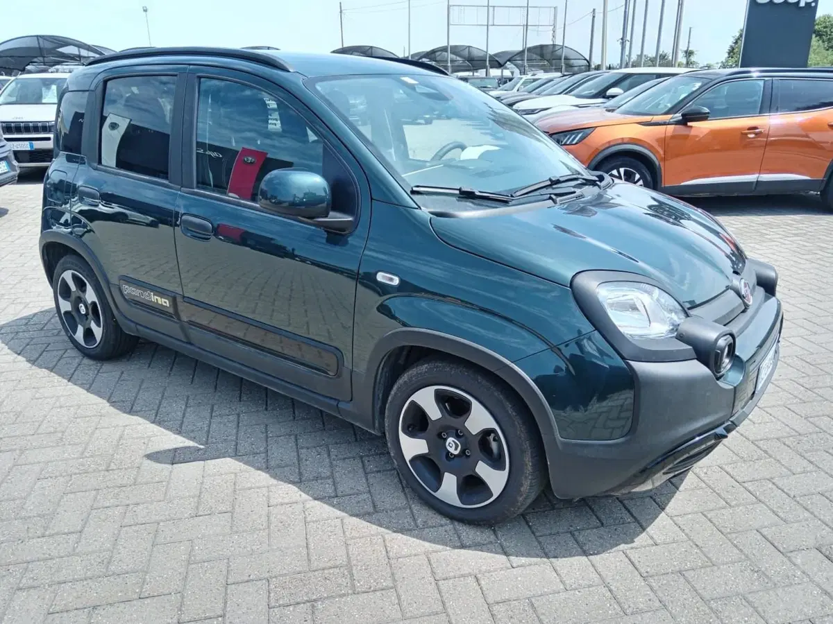 Fiat Panda Cross usata a Alessandria (3)