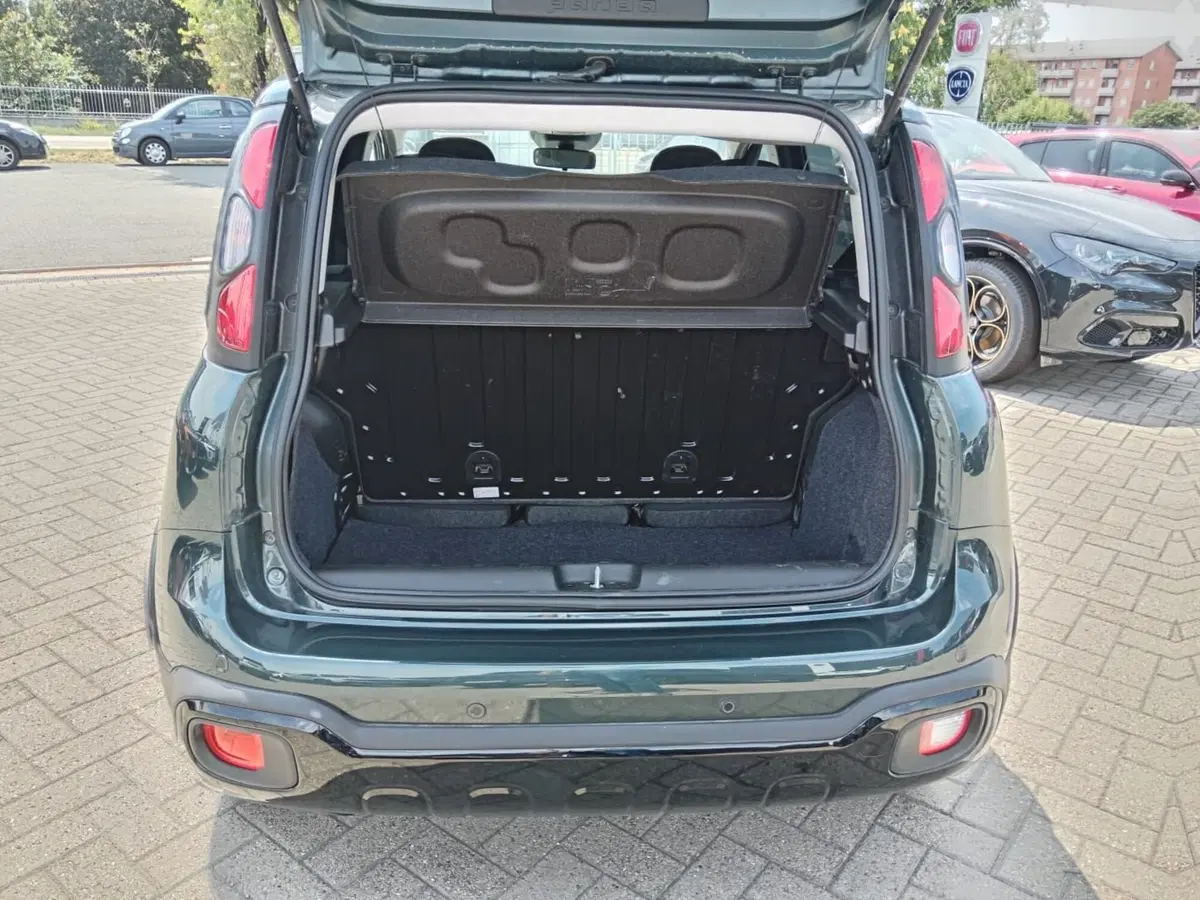 Fiat Panda Cross usata a Alessandria (7)