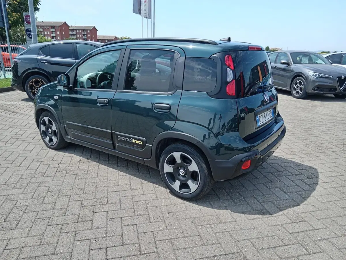 Fiat Panda Cross usata a Alessandria (8)
