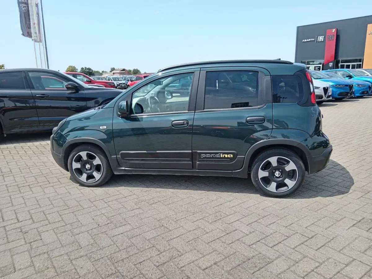 Fiat Panda Cross usata a Alessandria (9)