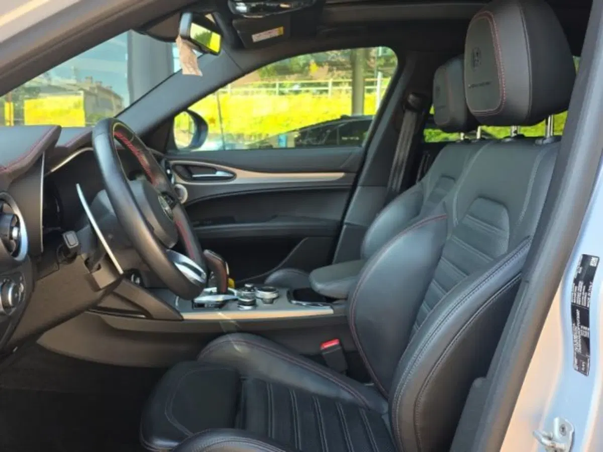 Alfa Romeo Stelvio usata a Monza e Brianza (11)