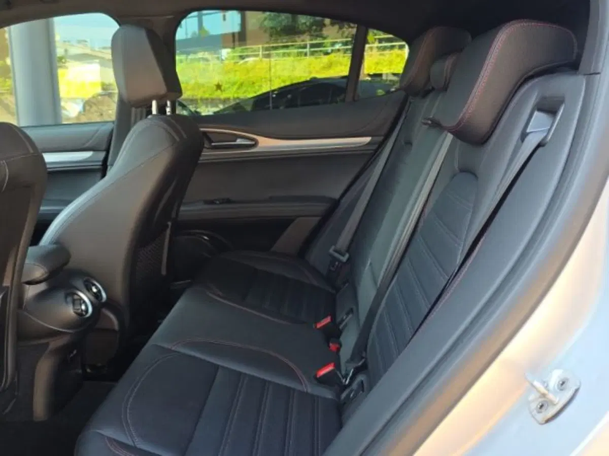 Alfa Romeo Stelvio usata a Monza e Brianza (12)