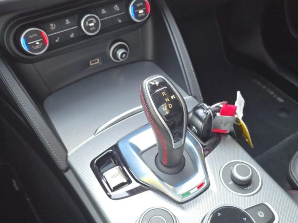 Alfa Romeo Stelvio usata a Monza e Brianza (18)