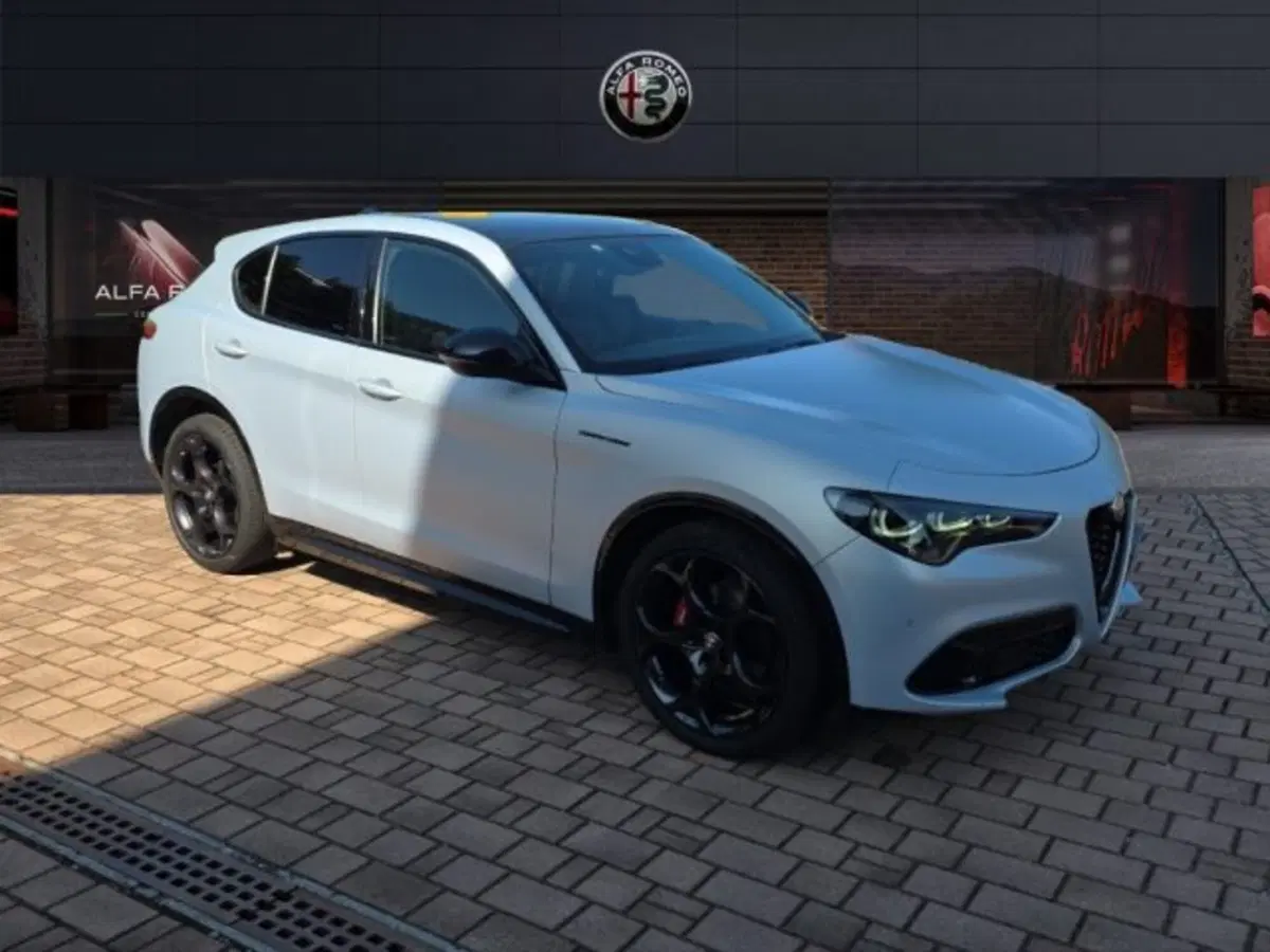 Alfa Romeo Stelvio usata a Monza e Brianza (3)