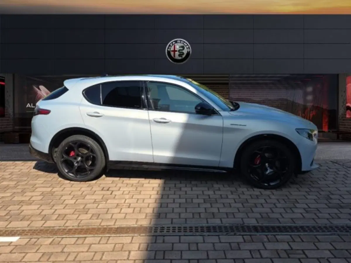 Alfa Romeo Stelvio usata a Monza e Brianza (4)